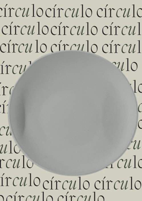 Bild zeigt Plakat mit einem Foto von einer Schale und dem Schriftzug "Circulo" im Hintergrund