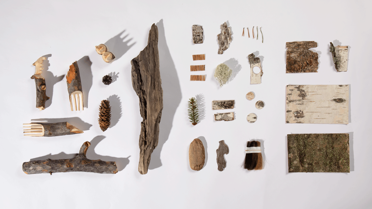 Bild zeigt eine Sammlung von Dingen aus der Natur, Rindenstücke, Baumnadeln, Moss, Flechten, Tannenzapfen, sowie geschnitzte Kämme aus Holz