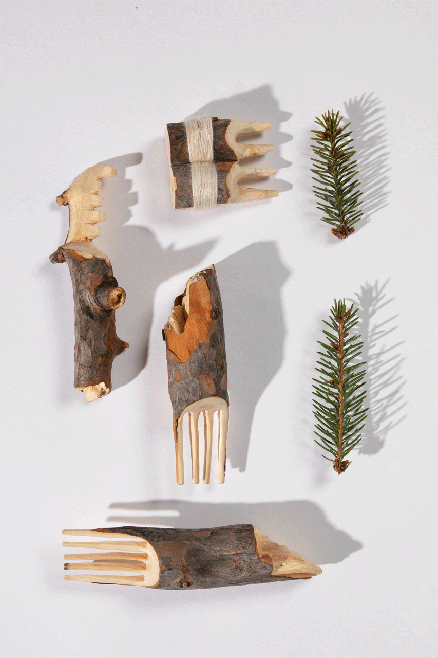 Bild zeigt grob geschnitzte Kämme und Tannennadeln